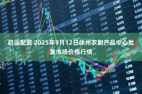 启运配资 2025年9月12日徐州农副产品中心批发市场价格行情