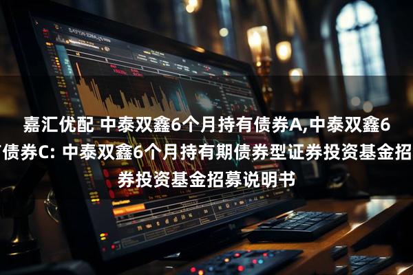嘉汇优配 中泰双鑫6个月持有债券A,中泰双鑫6个月持有债券C: 中泰双鑫6个月持有期债券型证券投资基金招募说明书