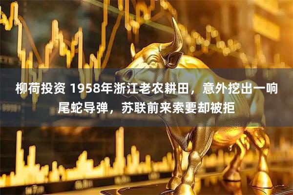 柳荷投资 1958年浙江老农耕田，意外挖出一响尾蛇导弹，苏联前来索要却被拒